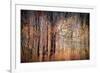 Autumn Riot-Ursula Abresch-Framed Photographic Print