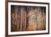 Autumn Riot-Ursula Abresch-Framed Photographic Print