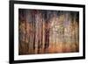 Autumn Riot-Ursula Abresch-Framed Photographic Print