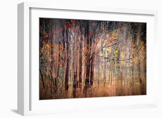 Autumn Riot-Ursula Abresch-Framed Photographic Print