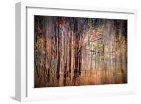 Autumn Riot-Ursula Abresch-Framed Photographic Print