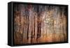 Autumn Riot-Ursula Abresch-Framed Stretched Canvas