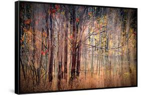 Autumn Riot-Ursula Abresch-Framed Stretched Canvas