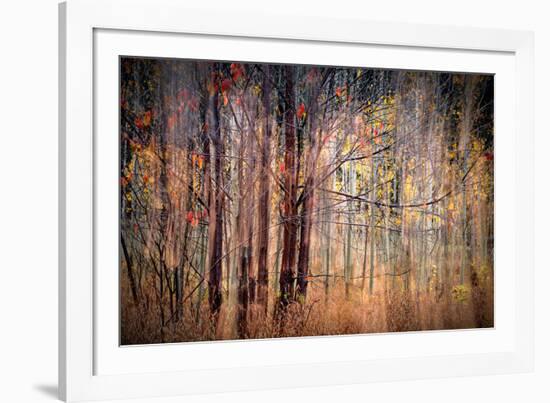 Autumn Riot-Ursula Abresch-Framed Photographic Print