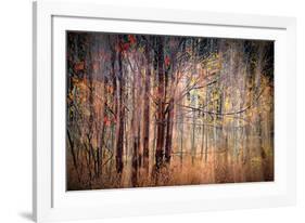 Autumn Riot-Ursula Abresch-Framed Photographic Print