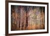 Autumn Riot-Ursula Abresch-Framed Photographic Print