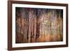 Autumn Riot-Ursula Abresch-Framed Photographic Print