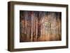 Autumn Riot-Ursula Abresch-Framed Photographic Print