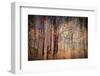 Autumn Riot-Ursula Abresch-Framed Photographic Print