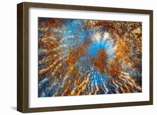 Autumn Riot-Ursula Abresch-Framed Photographic Print