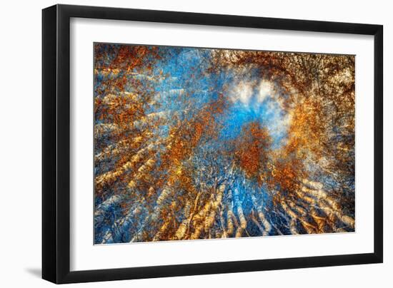 Autumn Riot-Ursula Abresch-Framed Photographic Print