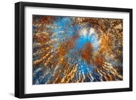 Autumn Riot-Ursula Abresch-Framed Photographic Print