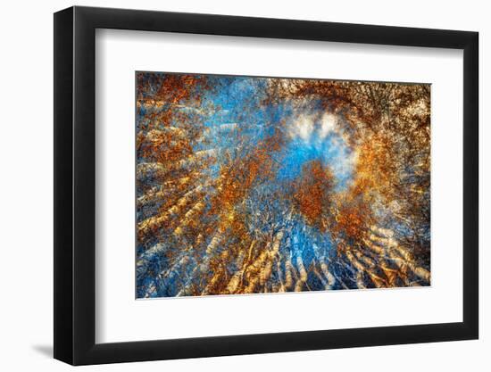 Autumn Riot-Ursula Abresch-Framed Photographic Print