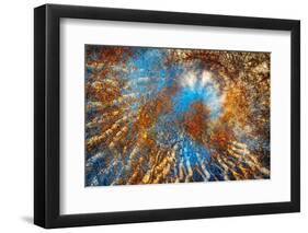 Autumn Riot-Ursula Abresch-Framed Photographic Print