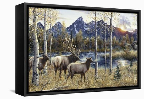 Autumn Rival-Jeff Tift-Framed Stretched Canvas