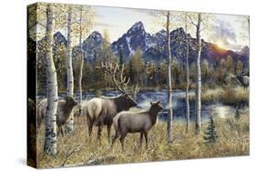 Autumn Rival-Jeff Tift-Stretched Canvas