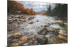 Autumn River Flow at Lincoln, New Hampshire-Vincent James-Mounted Photographic Print