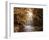 Autumn River Light-Jessica Jenney-Framed Giclee Print