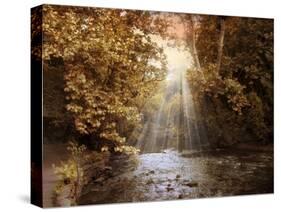 Autumn River Light-Jessica Jenney-Stretched Canvas