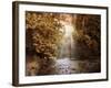 Autumn River Light-Jessica Jenney-Framed Giclee Print