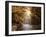 Autumn River Light-Jessica Jenney-Framed Giclee Print