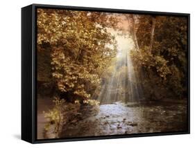 Autumn River Light-Jessica Jenney-Framed Stretched Canvas