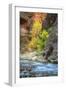 Autumn River Scene at Zion National Park-Vincent James-Framed Photographic Print