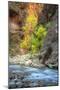 Autumn River Scene at Zion National Park-Vincent James-Mounted Photographic Print