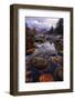 Autumn River Wonder, Pemigewasset River, New Hampshire, Lincoln-Vincent James-Framed Photographic Print