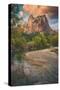 Autumn Riverside, Zion Canyon, Utah-Vincent James-Stretched Canvas