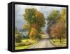 Autumn Road 2-5fishcreative-Framed Stretched Canvas