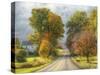 Autumn Road 2-5fishcreative-Stretched Canvas