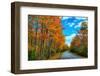 Autumn Road, Acadia National Park, Maine-Vincent James-Framed Photographic Print