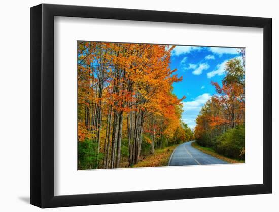 Autumn Road, Acadia National Park, Maine-Vincent James-Framed Photographic Print