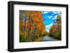 Autumn Road, Acadia National Park, Maine-Vincent James-Framed Photographic Print