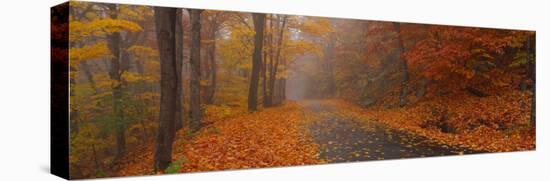 Autumn Road, Monadnock Mountain, New Hampshire, USA-null-Stretched Canvas