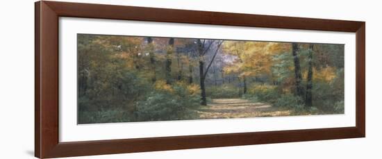 Autumn Road Panel-Diane Romanello-Framed Art Print