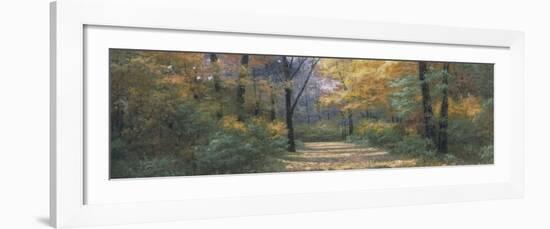 Autumn Road Panel-Diane Romanello-Framed Art Print