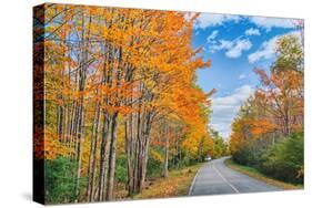 Autumn Road Through Acadia National Park, Fall Foilage New England-Vincent James-Stretched Canvas