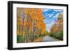 Autumn Road Through Acadia National Park, Fall Foilage New England-Vincent James-Framed Photographic Print