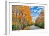 Autumn Road Through Acadia National Park, Fall Foilage New England-Vincent James-Framed Photographic Print