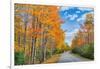 Autumn Road Through Acadia National Park, Fall Foilage New England-Vincent James-Framed Photographic Print