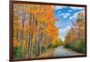 Autumn Road Through Acadia National Park, Fall Foilage New England-Vincent James-Framed Photographic Print