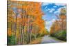 Autumn Road Through Acadia National Park, Fall Foilage New England-Vincent James-Stretched Canvas