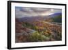 Autumn Road Through the White Mountains, New Hampshire-Vincent James-Framed Photographic Print