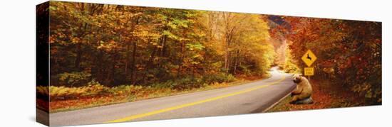 Autumn Road with Bear at Deer Crossing Sign, Vermont, USA-null-Stretched Canvas