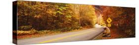 Autumn Road with Bear at Deer Crossing Sign, Vermont, USA-null-Stretched Canvas