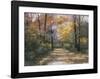 Autumn Road-Diane Romanello-Framed Art Print