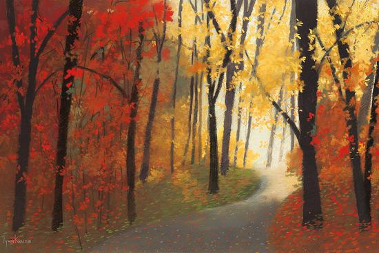 Autumn Road-Lynn Krause-Stretched Canvas