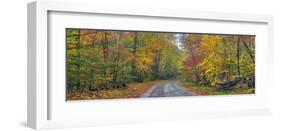 Autumn Road-Doug Cavanah-Framed Art Print